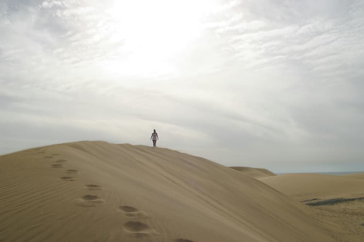 Solitary Dune Walker