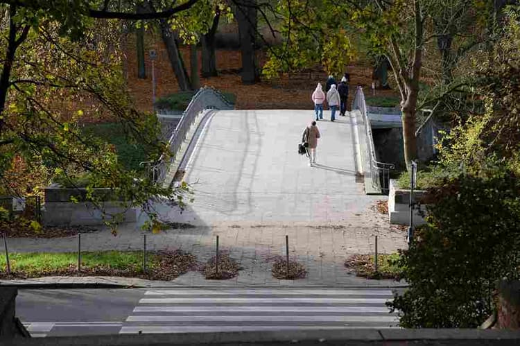 Arched Bridge in Park