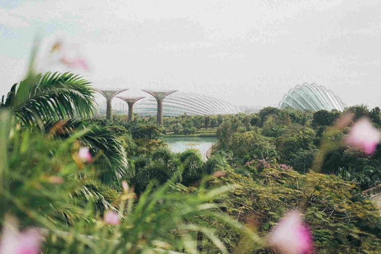 Gardens by the Bay