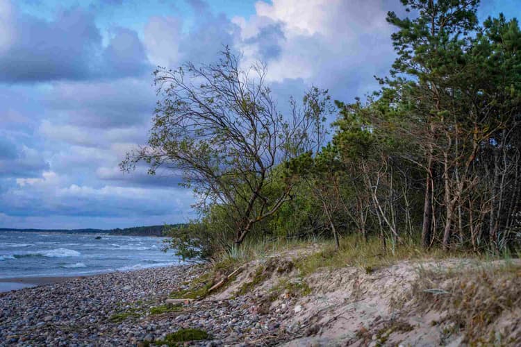 Stormy Baltic Sea Shore