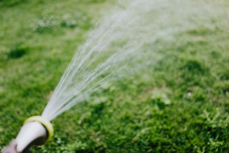 Watering Lawn with Hose