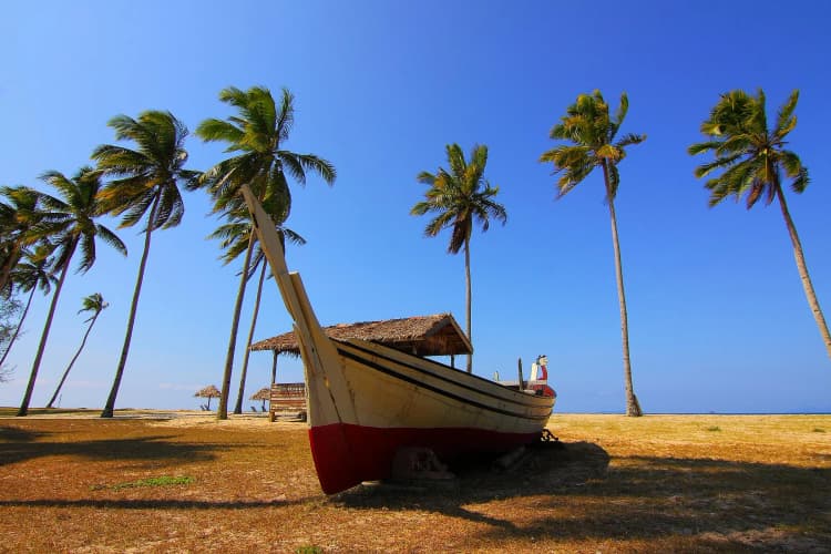 Tropical Beach with Boat