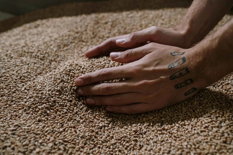 Hands on Coffee Beans