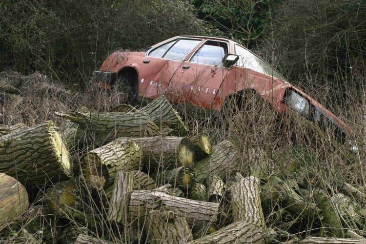 Abandoned Car in Nature