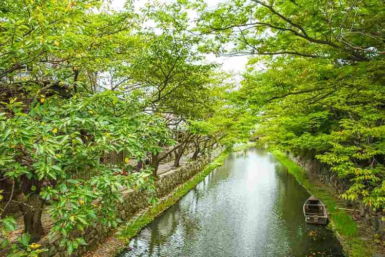 Serene Canal in Greenery