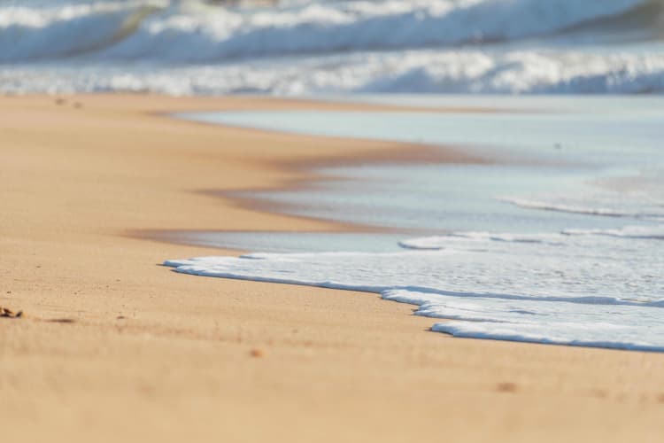 Serene Beach Shore Waves