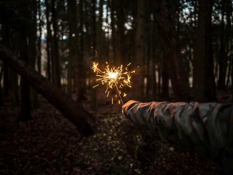 Sparkler in Dark Forest