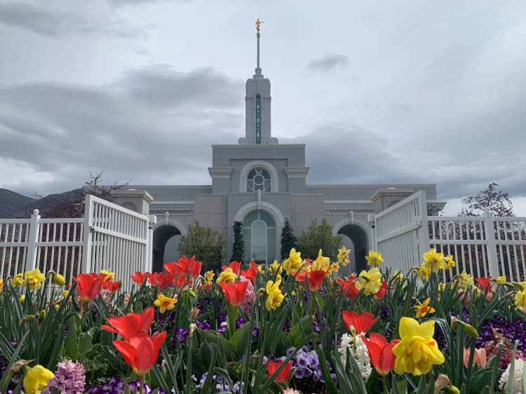 Temple Blooms in Spring