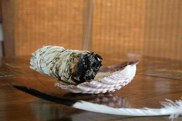 Sage Smudge on Seashell