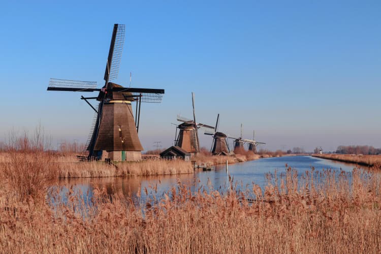 Dutch Windmills by Canal