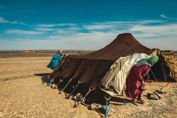 Nomadic Desert Camp Scene