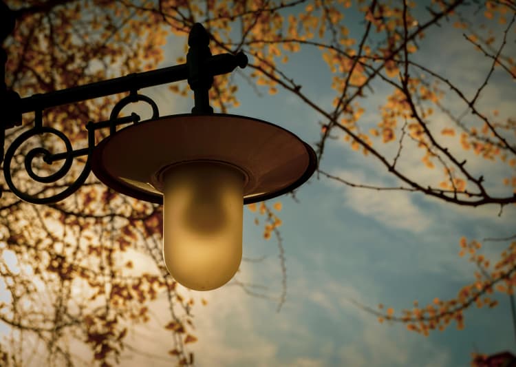 Autumn Lamppost at Dusk