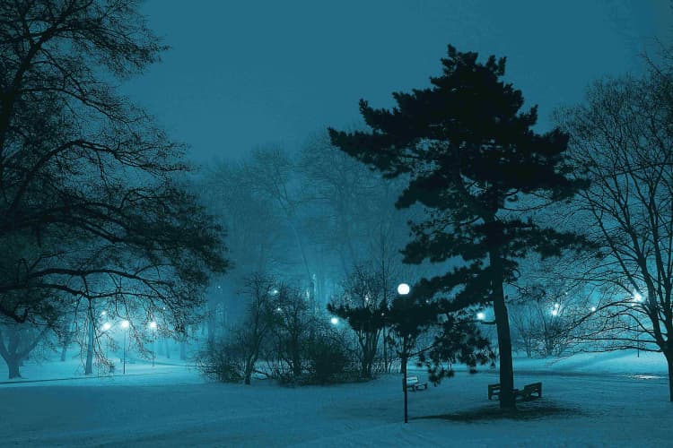 Misty Winter Park Night