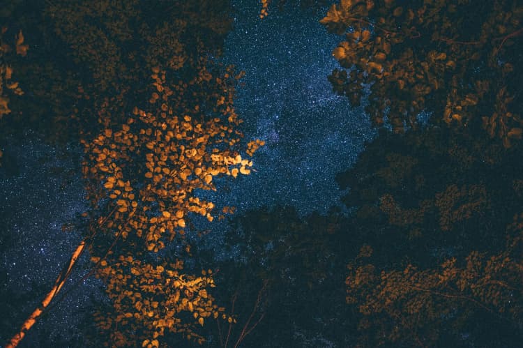 Starry Autumn Night Sky