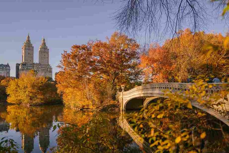 Autumn in Central Park